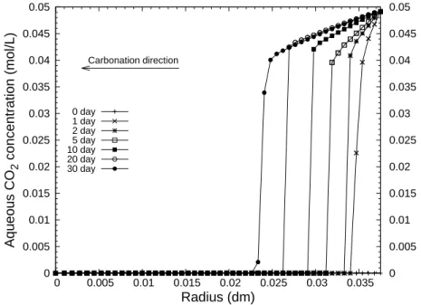 Figure 5.2: Aqueous CO 2 concentration proﬁles from 0 day to 30 days.