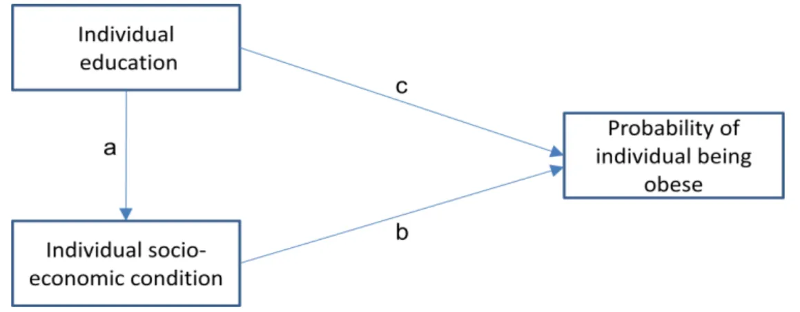 Figure 7. Indirect effect of individual education through individual socio-economic status 