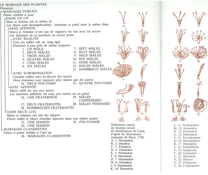 Illustration 2 : Systema naturae