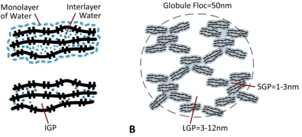 Figure 2.7: The description of the C-S-H porosity provided by Jen- Jen-nings [ 35 ]