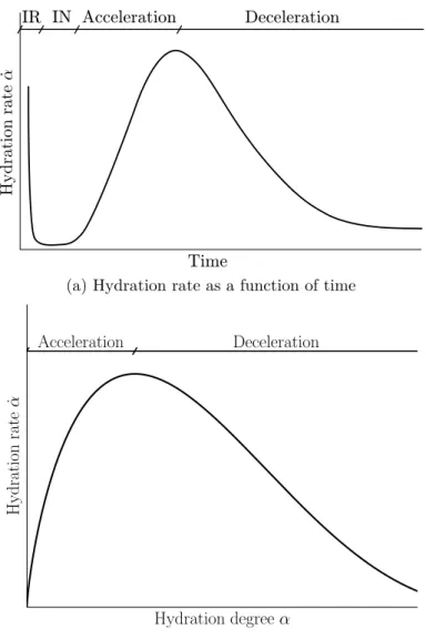 Figure 1.5: Schematic representation of the hydration rate. Stages are divided in initial fast reaction (IR), induction (IN), acceleration and deceleration.