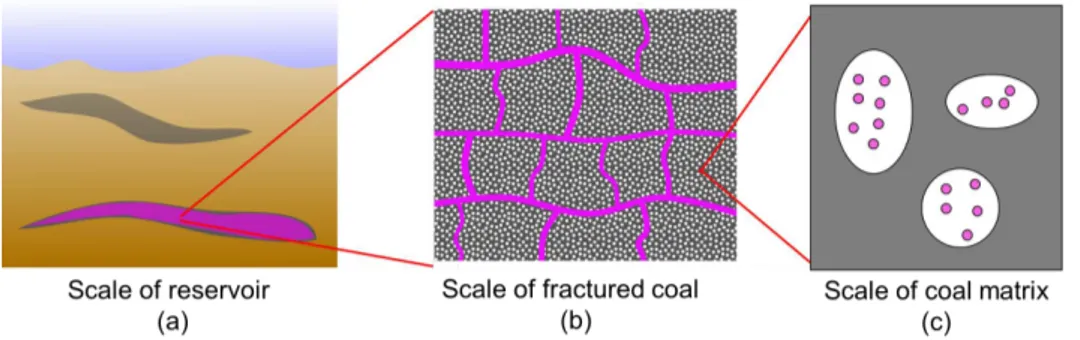 Figure 2.1 – Different scales considered for a coal bed reservoir in absence of any adsorp- adsorp-tion.