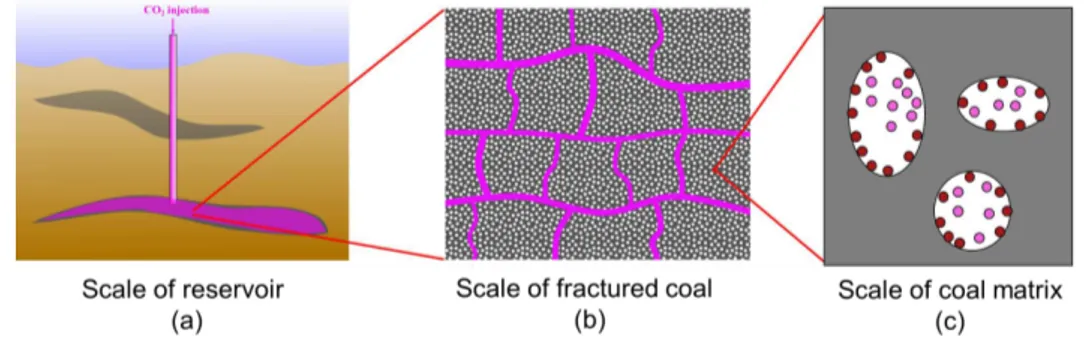 Figure 2.2 – Different scales considered for a coal bed reservoir considering surface ad- ad-sorption.