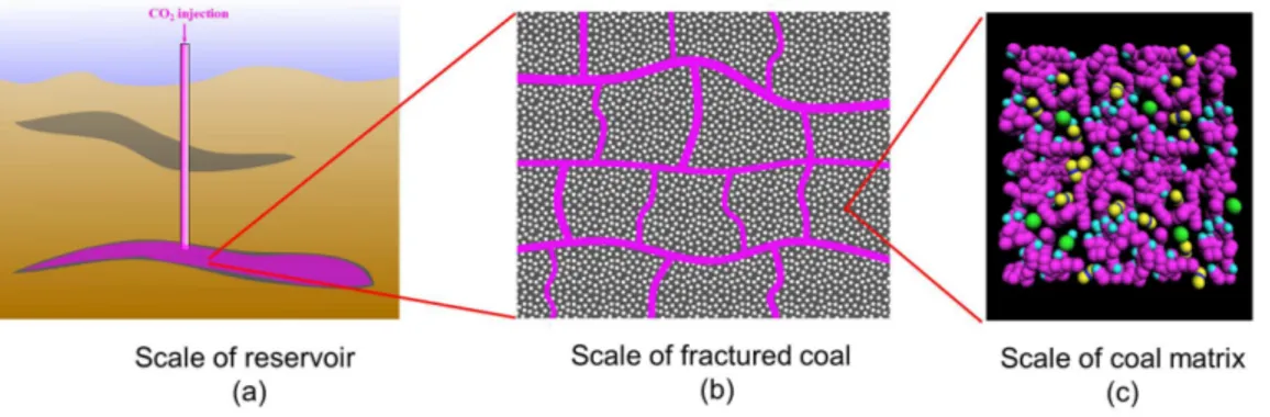 Figure 2.3 – Schematic multi-scale model for a coal bed reservoir with a microporous matrix.