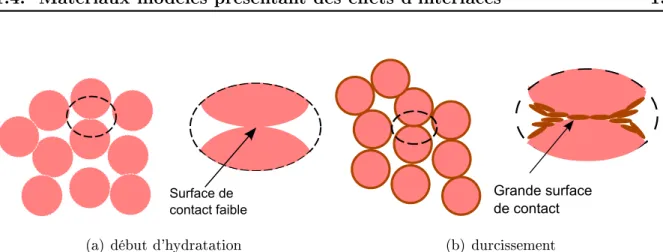 Figure 1.4  Augmentation des surfaes de ontat et durissement de la pâte (augmen- (augmen-tation de la rigidité)