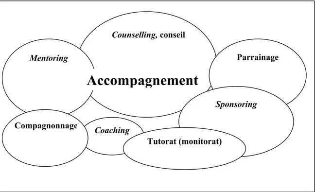 Figure 1. L’accompagnement : une nébuleuse	