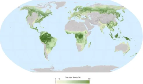 Figure 1.1 – Répartition de la ressource forestière dans le monde en 2010 (source : FAO)