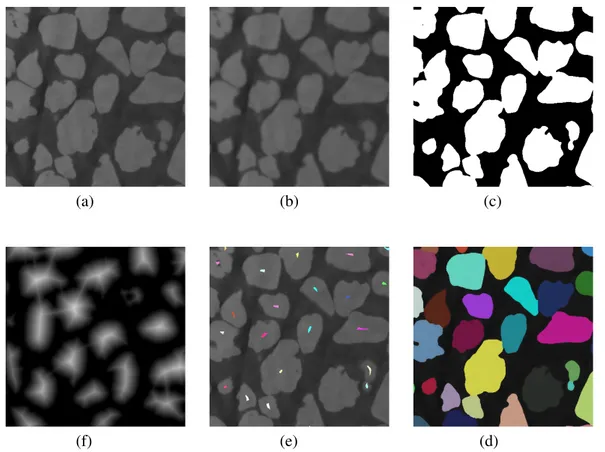 Figure 2.19: Steps followed for grain segmentation. (a) The initial image (b) step 1: filtered image (c) step 2: binarization (f) step 3: topological image (e) step 4: seeds (d) step 5: final result after the watershed flooding.