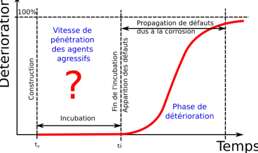 Fig. 1.10 – ´ Evolution du niveau de corrosion des armatures en fonction du temps (d’apr`es [107]).