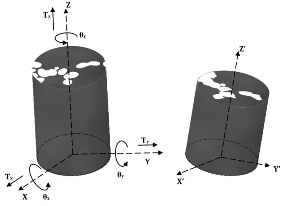 Figure 3.3 Schematic of the initial and explanted scaffold. Orthogonal coordinate systems for the 3 rotations and 3 displacements sought in the alignment process