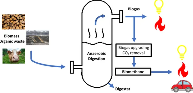 Figure 6: From biowaste to valorisation of biogas and biomethaneBiogas upgradingCO2removalBiomethaneDigestatBiomassOrganic wasteAnaerobicDigestionBiogas