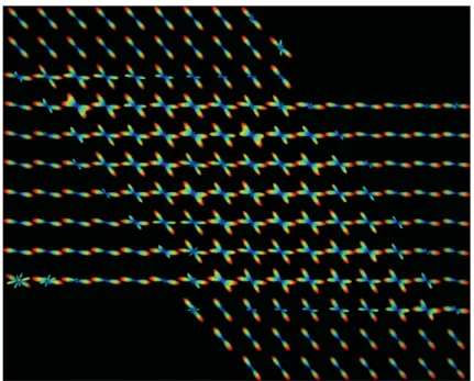 Figure B.1: CSD with NLSAM denoising on the multishell data. The 60 gradients directions dataset was used for the reconstruction.