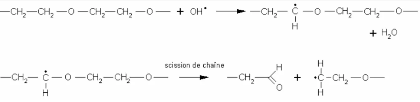 Figure I.11  : Réaction de dégradation du PEO en présence de radicaux hydroxyles  [70]