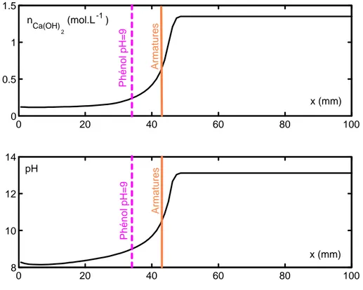 Fig. 1.7 — Forme du front de carbonatation. n Ca(OH) 2 est la teneur en portlandite par unité de