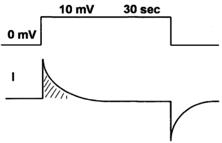 Figure 2.5.1 : Protocole de la capacitance de la cellule et trace theorique de la mesure du  courant capacitif en fonction du temps