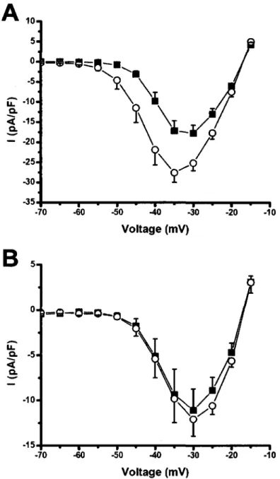 Figure 3.3.6  : Effets  de la PKA, de la PKC et de l'apeline  13 sur la courbe I/V du courant  sodique cardiaque chez des myocytes isoles du ventricule gauche de chien