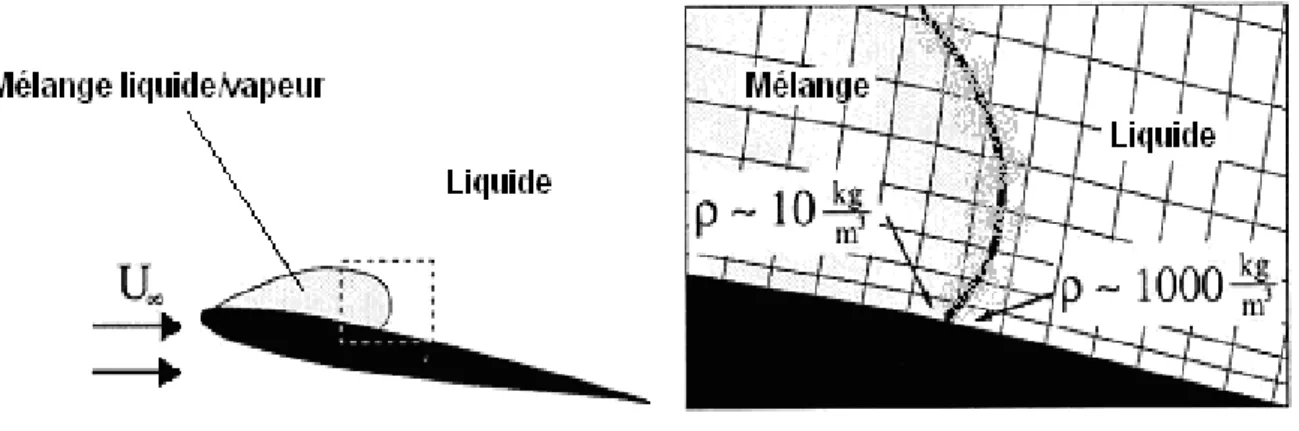 Figure 1-2 : à gauche : Diagramme schématique de la cavitation sur un hydrofoil.  A droite : saut de densité à la fermeture de la zone cavitante