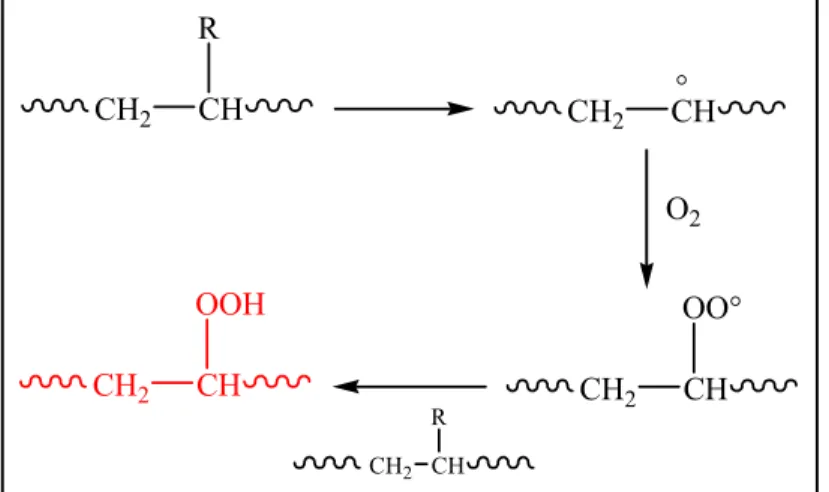 Figure I.6. Schéma des étapes de la formation des espèces hydroperoxydes. 