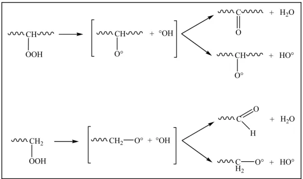 Figure I.7. Décomposition unimoléculaire des hydroperoxydes du PE. D’après Tüdos et al