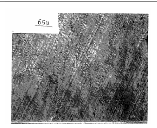 Figure I.30. Micrographie en surface d’un mélange de polyéthylène et 0,075% d’antioxydant non  vieilli