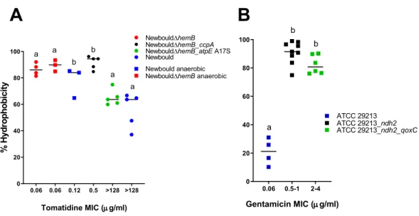Figure 9. Surface hydrophobicity of S. aureus strains including those resistant to TO (A),  resistant to the TO-GEN combination (B) in relation to TO or TO-GEN MICs