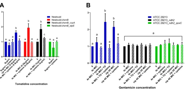 Figure 11. ROS production in S. aureus induced by (A) tomatidine or (B) the TO(8µg/ml)- TO(8µg/ml)-GEN combination
