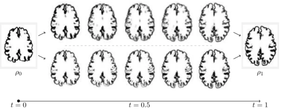 Figure 7: Geodesics between ρ 0 and ρ 1 for two metrics (top row) W 2 between