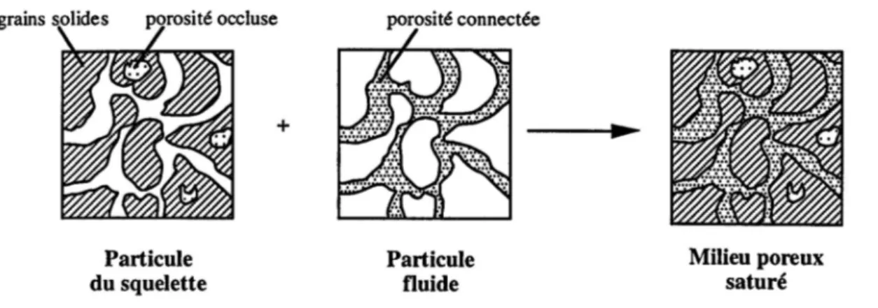 Figure 12 : Description du milieu poreux comme la superposition de deux milieux continus (d'après  Coussy (1991)) 