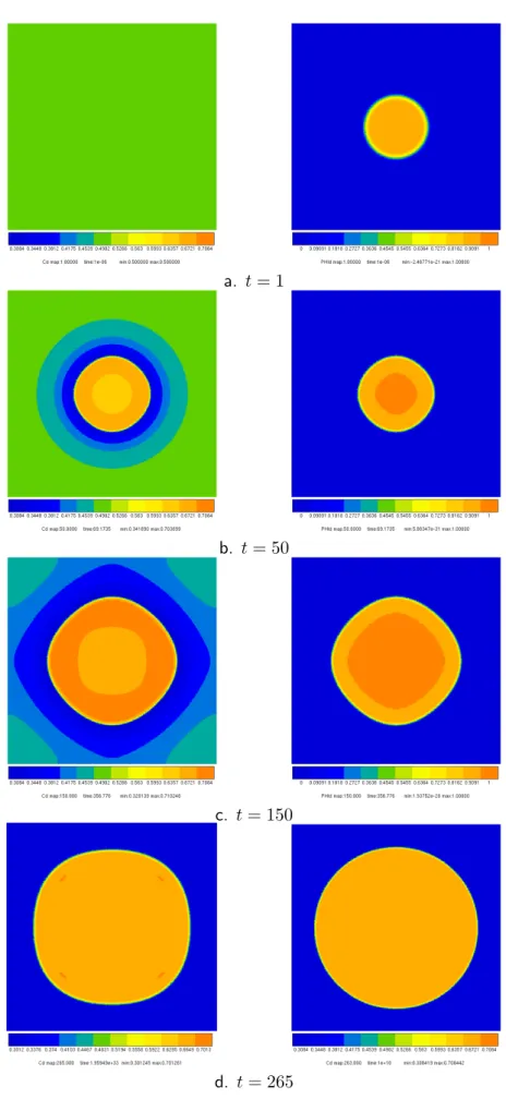 Figure II.11 : Temporal shape evolution of a circular ordered particle during growth. The concentration (left) and the order parameter (right) fields are plotted : (a) t=1, (b) 50,(c) 150,(d) 265 time steps.
