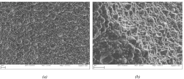 Figure I - 9 : Micrographies MEB de la surface d’un brin de nickel après l’électrolyse (a) vue de dessus et (b) en  incidence rasante 