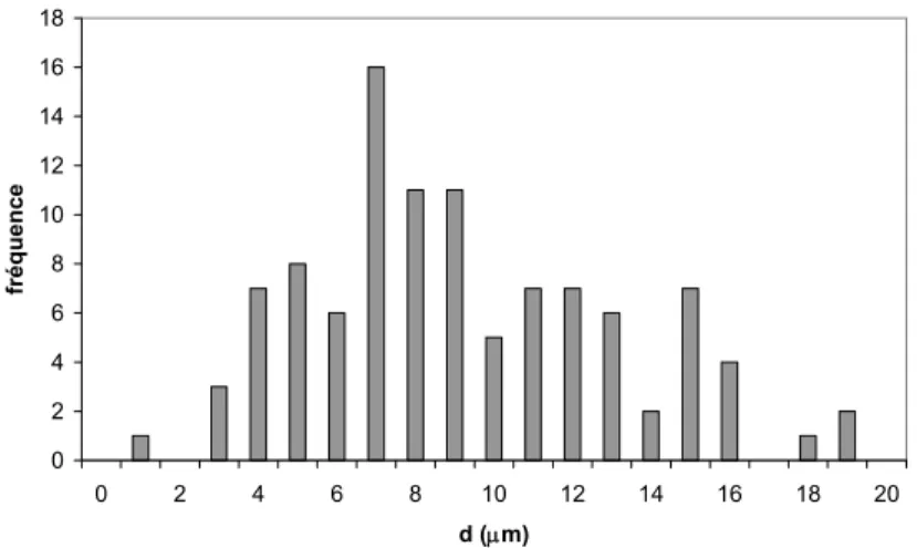 Figure II - 17 : Distribution de la taille de grains mesurée sur la mousse de nickel recuite par NiTECH à 1000°C 