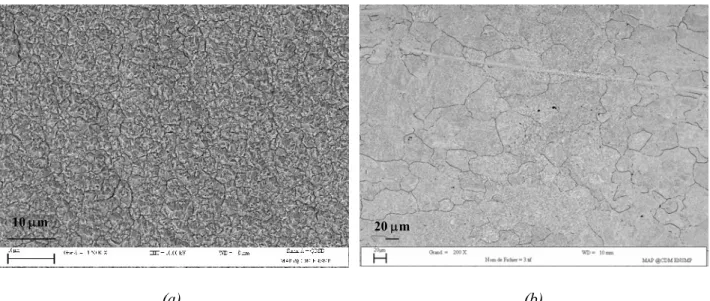 Figure II - 18 : Micrographies MEB de la surface des feuillards de (a) 10 et (b) 50  µm d’épaisseur 