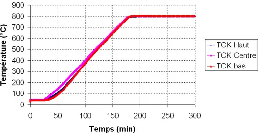 Fig. 2.2.12. La température étant contrôlée par les trois thermocouples (TCK) situés près de l’échantillon.