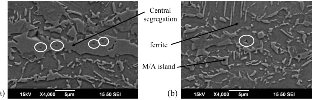 Figure I.31. SEM observations after nanohardness measurements on Steel 3. Prints are surrounding in white