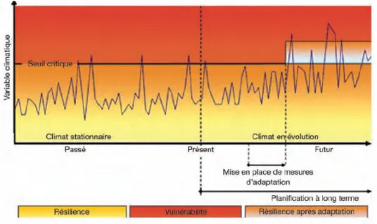 Figure 1.1  Concept  du  processus  d’adaptation.  Tirée  de  Warren,  2008,  modifiée  de  Smith et al., 1999