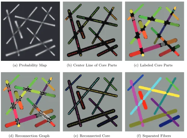 Figure 5.9.: Example for the separation of fibers on a 2D fiber model