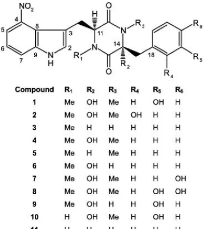 Figure 1.12. Structural formula of the thaxtomins produced by phytopathogenic  species of  Streptomyces