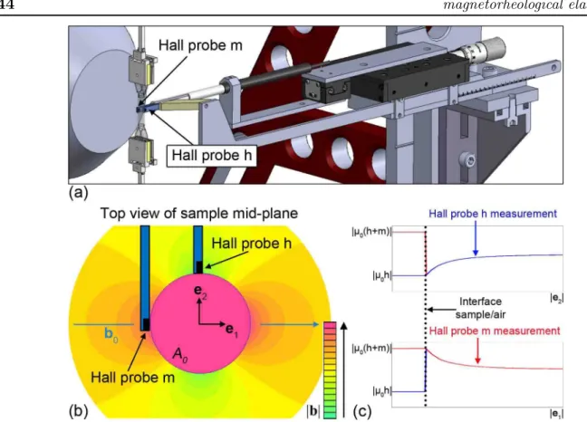 Figure II.7: a) Stand coming from behind the electromagnet and holding the two Hall probes h and m