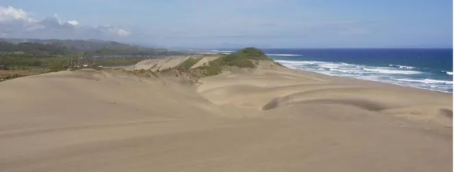 Figure 1.6 Plage et dunes, dans les îles Fidji 