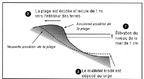 Figure 1.7 Recul de la plage causé par l’élévation du niveau de la mer  