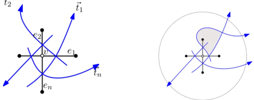 Figure 9: Left: the set ~T(v) of oriented train-tracks strands around the (white) vertex v