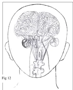 Fig 11 Fig 12