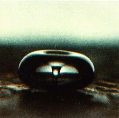 Figure 2.7 – Photo d’une bulle en train d’imploser, d´ ebut de formation du