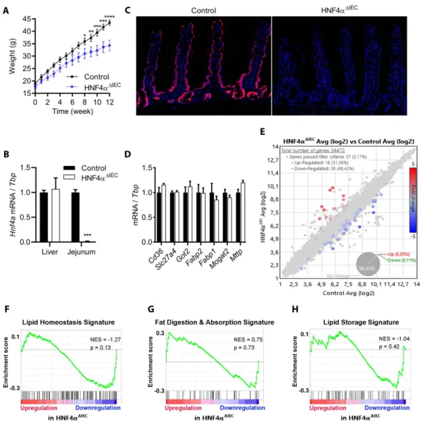 Figure 1.  Mice deleted for intestinal HNF4A  are resistant to HFD-induced obesity  without significant alteration in expression of genes related to lipid metabolism