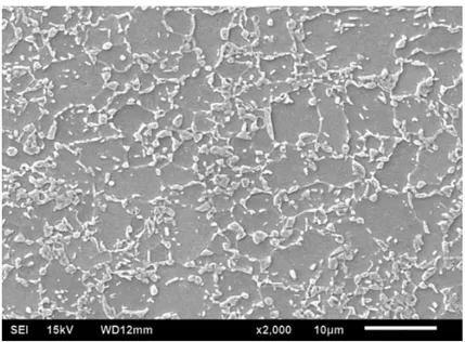 Figure 1-26  microstructure of DP780 steel microstructure [124]. The bright grains ere martensite and  the dark grains are ferrite