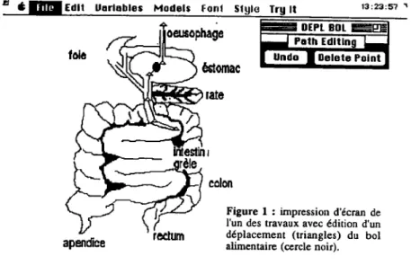 Figure 1 : impression d'écran de