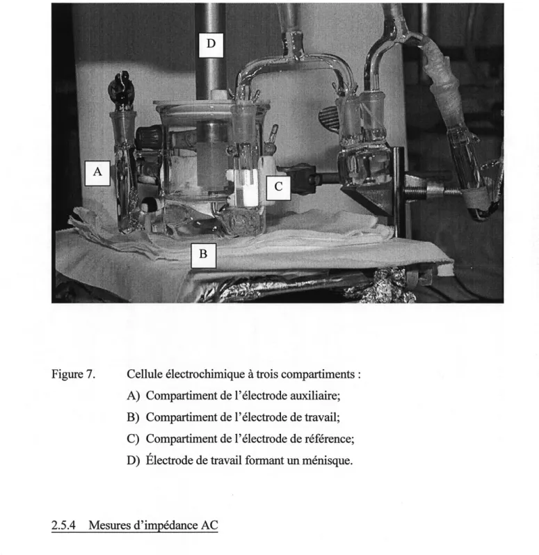 Figure 7. Cellule electrochimique a trois compartiments
