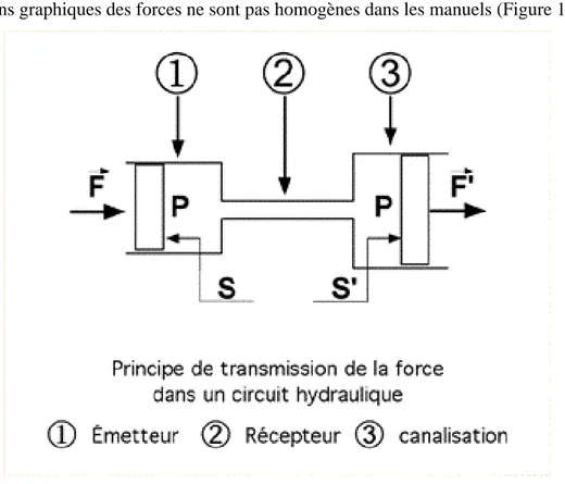 Figure 1 : représentation graphique d’une force (manuel de Mémeteau)