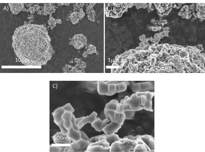 Figure II- 4 SE micrographs with an increasing magnification of NiO powder provided by Novamet 