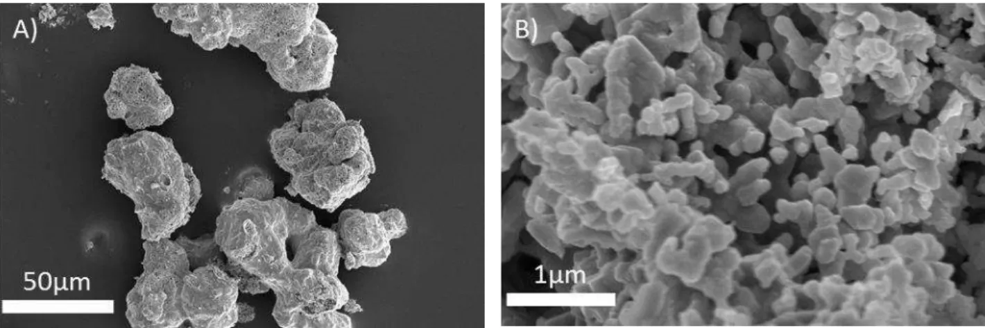 Figure II-10 SEM micrographies with increasing magnification of LSCF powder provided by Marion  Technologies